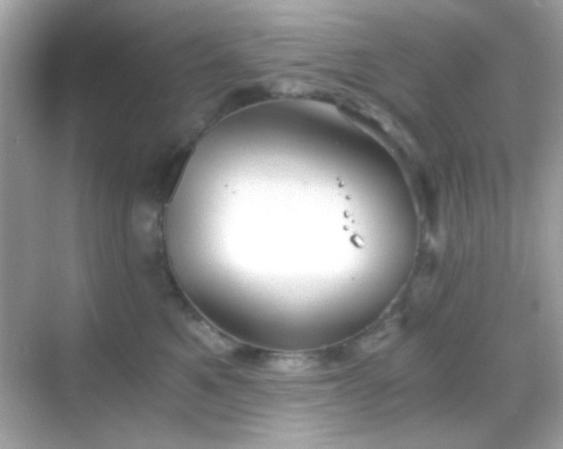 X0000068850521200605051216