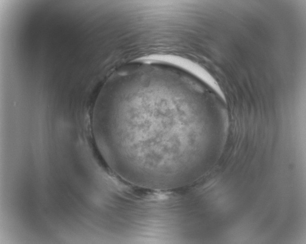 X0000068850523200605051216