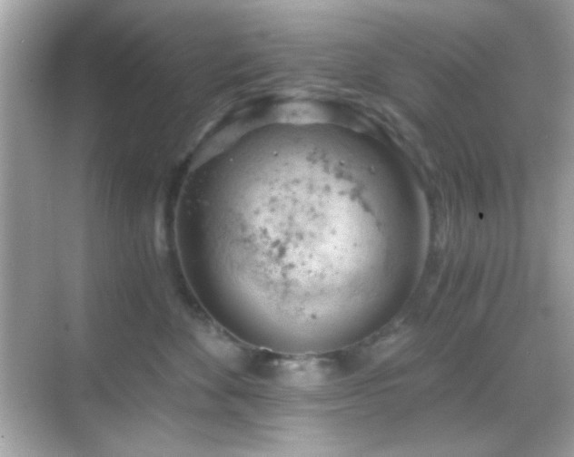 X0000068850524200605051216