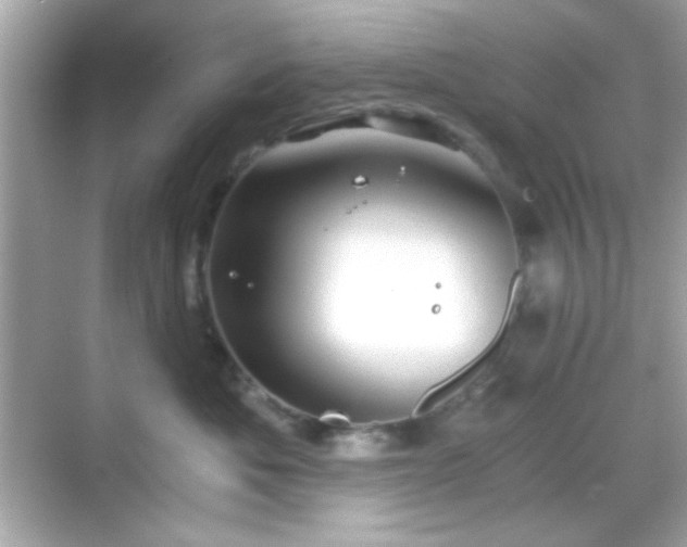 X0000068850525200605051216