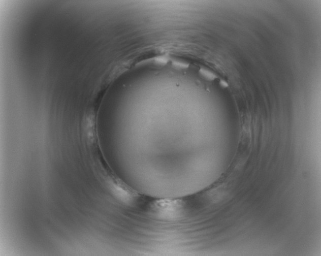 X0000068850526200605051216