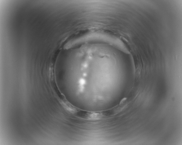 X0000068850527200605051216