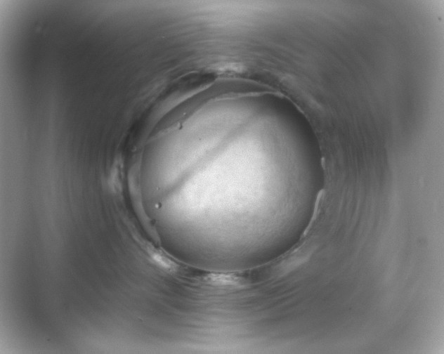 X0000068850528200605051216