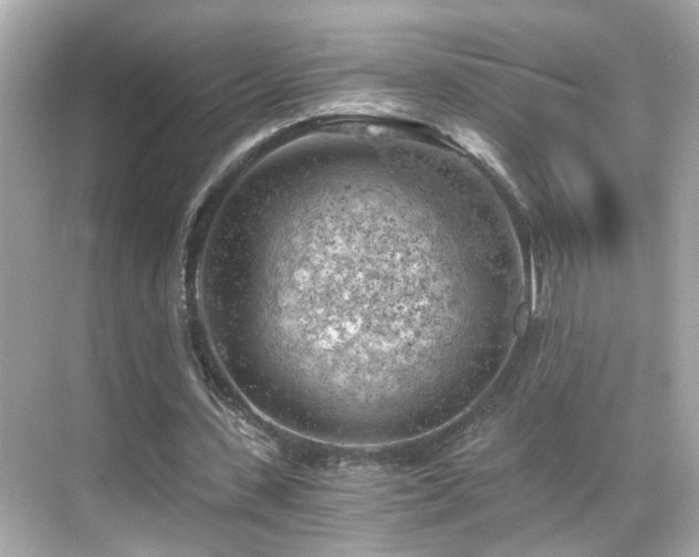 X0000068850531200605051215