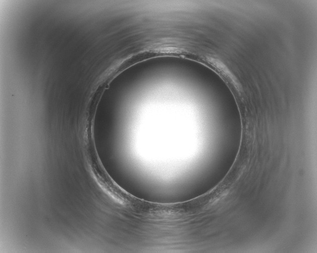 X0000068850533200605051215