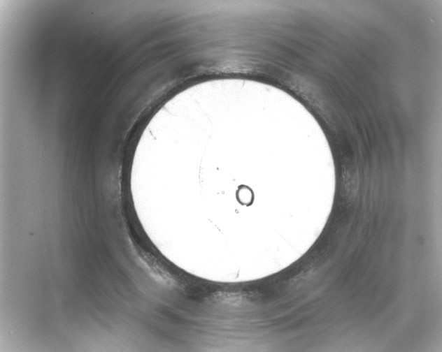 X0000068850534200605051215