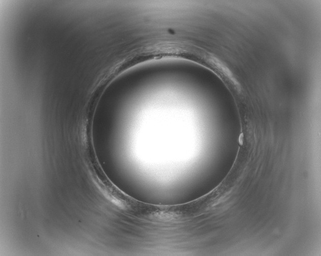 X0000068850537200605051215