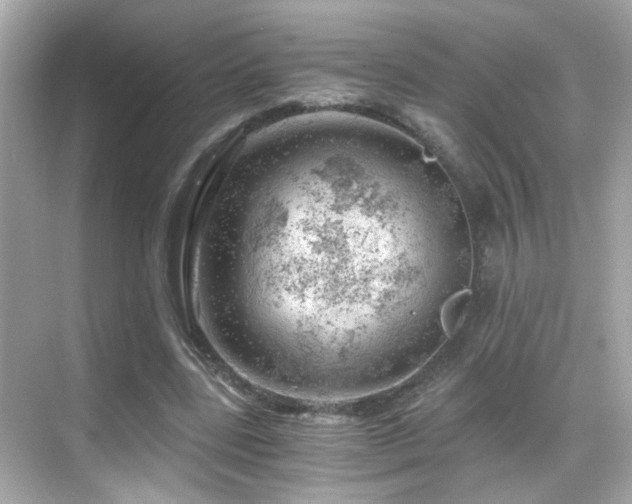 X0000068850539200605051215