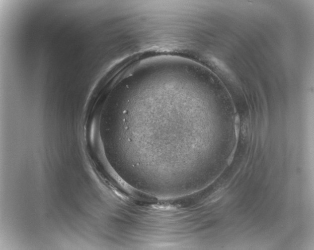 X0000068850540200605051215