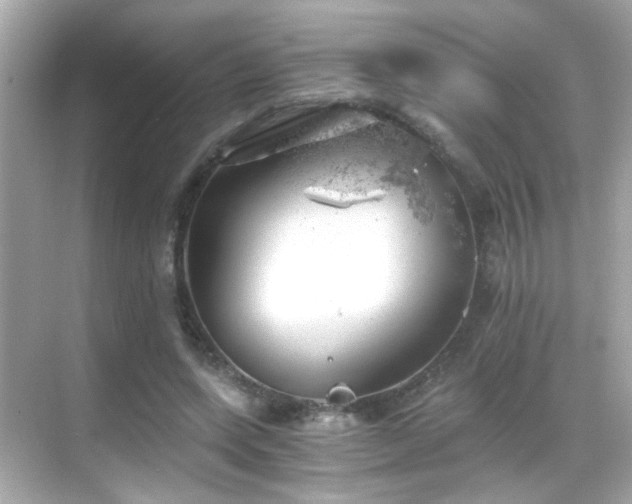 X0000068850543200605051215