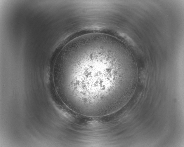 X0000068850544200605051215