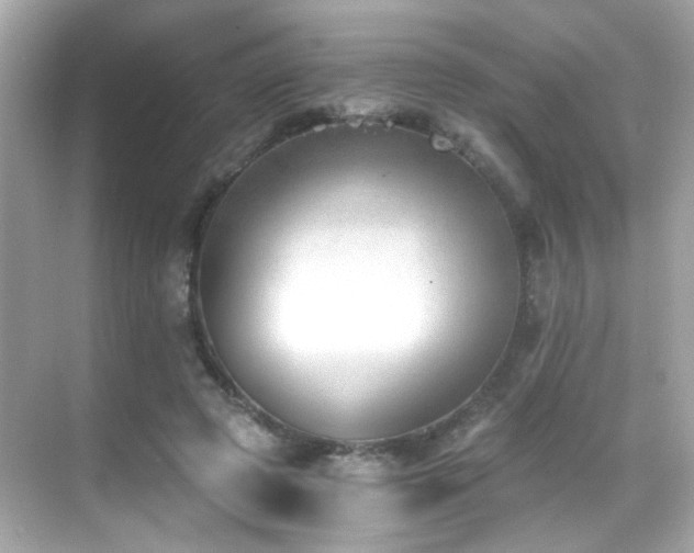 X0000068850545200605051215