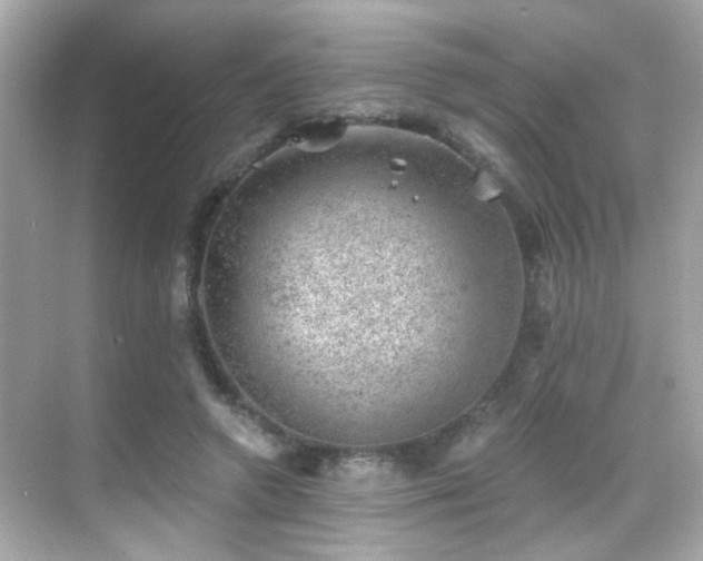 X0000068850546200605051215