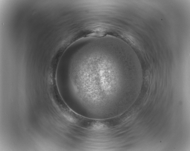 X0000068850547200605051215