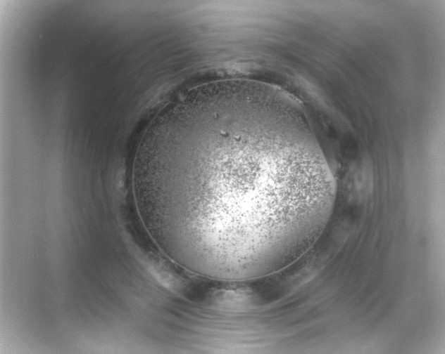 X0000068850548200605051215