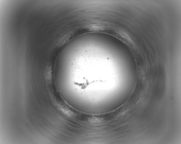 X0000068850549200605051215