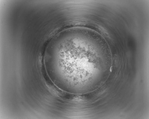 X0000068850550200605051215