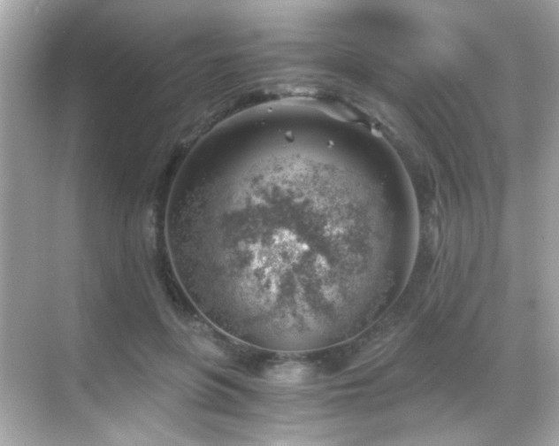 X0000068850551200605051215