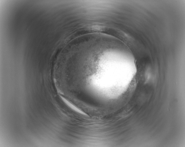 X0000068850552200605051215