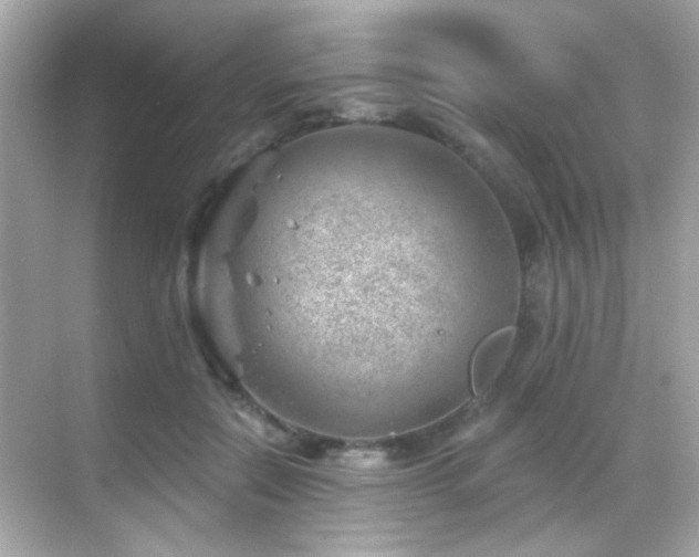 X0000068850554200605051215