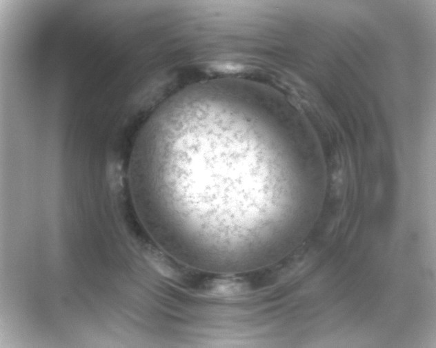 X0000068850555200605051215