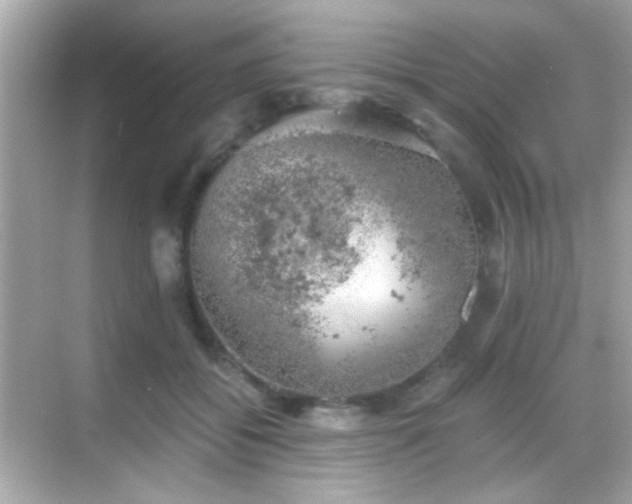 X0000068850556200605051215