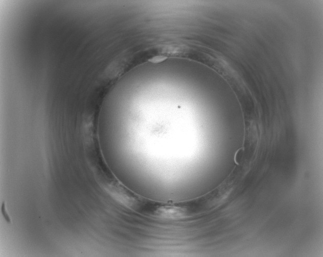 X0000068850557200605051215