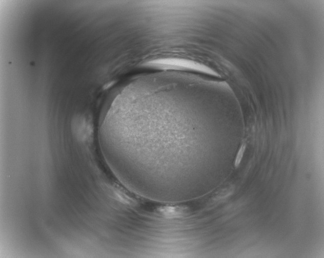 X0000068850558200605051215