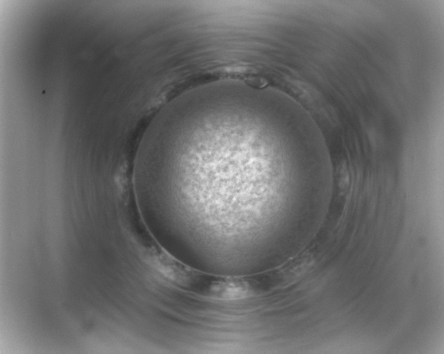 X0000068850559200605051215