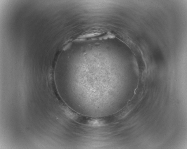 X0000068850561200605051215