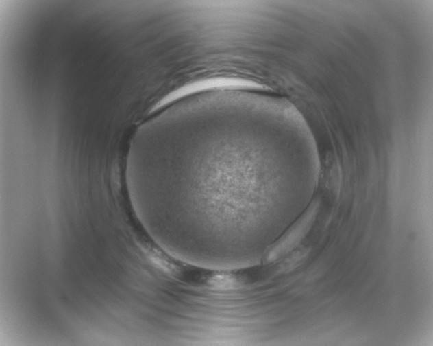 X0000068850562200605051215