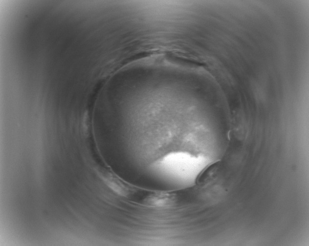 X0000068850563200605051215