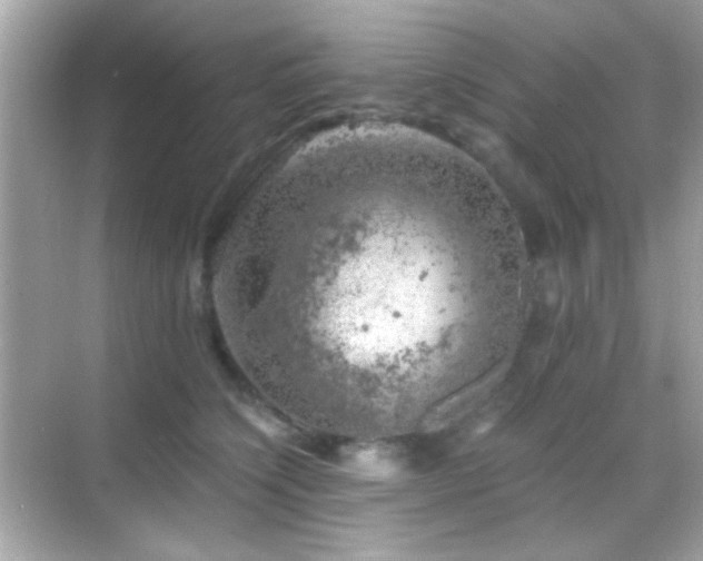 X0000068850564200605051216