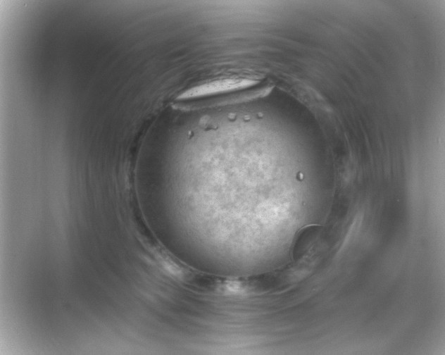 X0000068850565200605051216