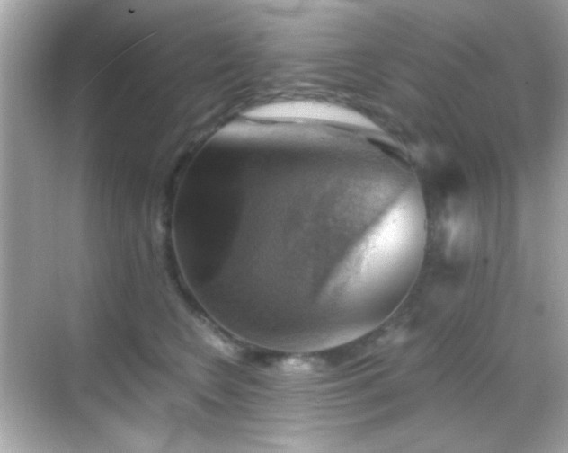 X0000068850566200605051216