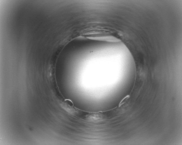 X0000068850567200605051216