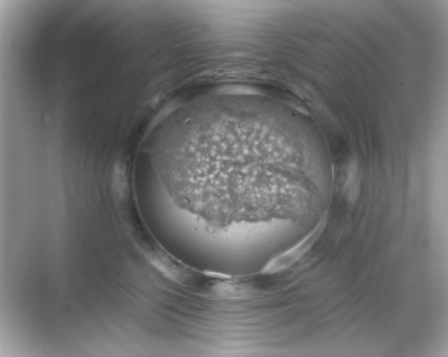 X0000068850568200605051216