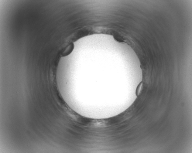 X0000068850569200605051216