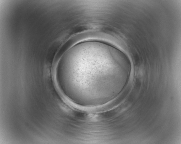 X0000068850570200605051216