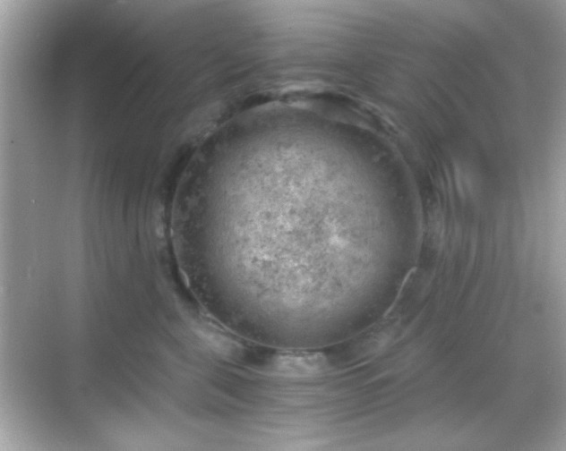 X0000068850571200605051216