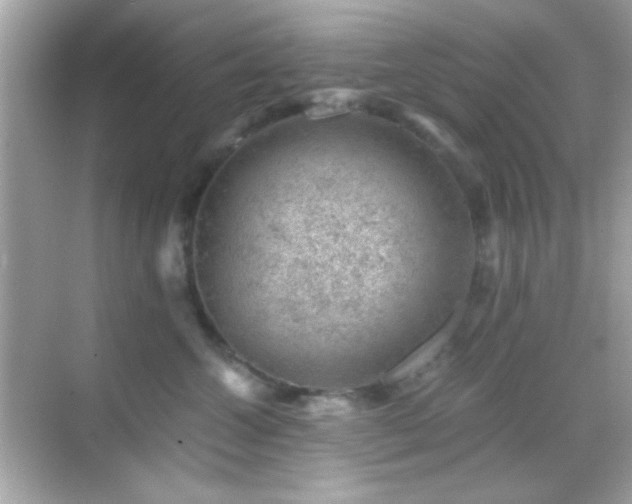 X0000068850572200605051216