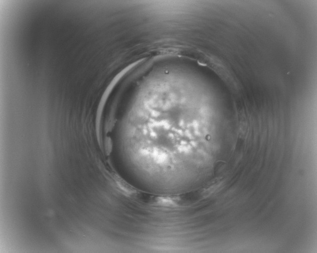 X0000068850573200605051216