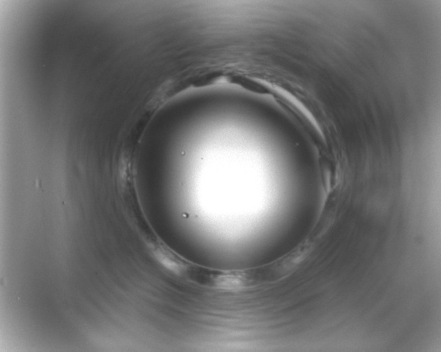 X0000068850574200605051216