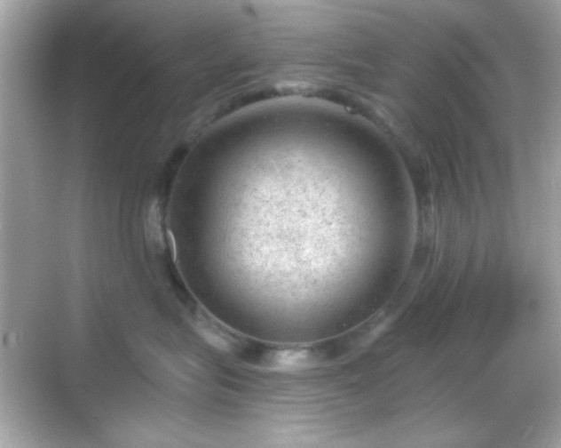 X0000068850575200605051216