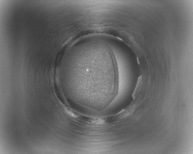 X0000068850576200605051216