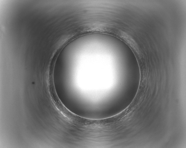 X0000068850578200605051215