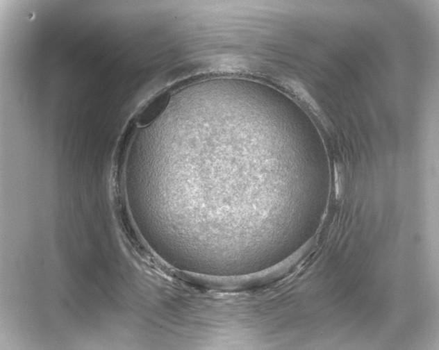 X0000068850579200605051215