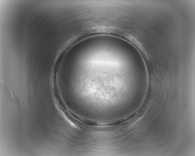 X0000068850581200605051215