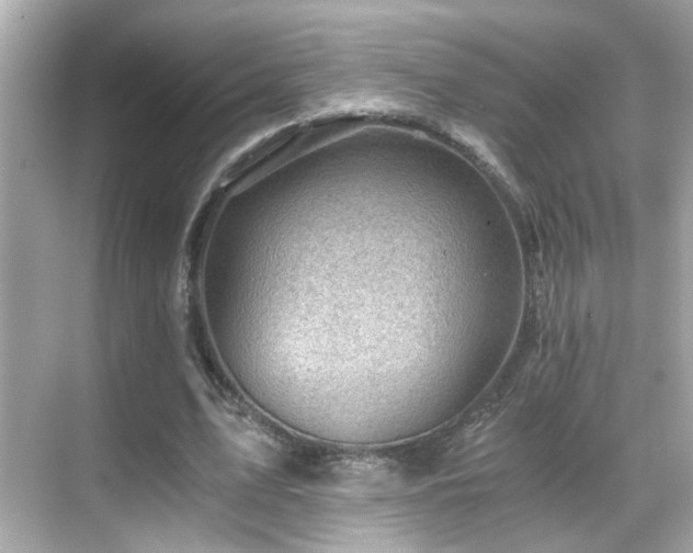 X0000068850583200605051215