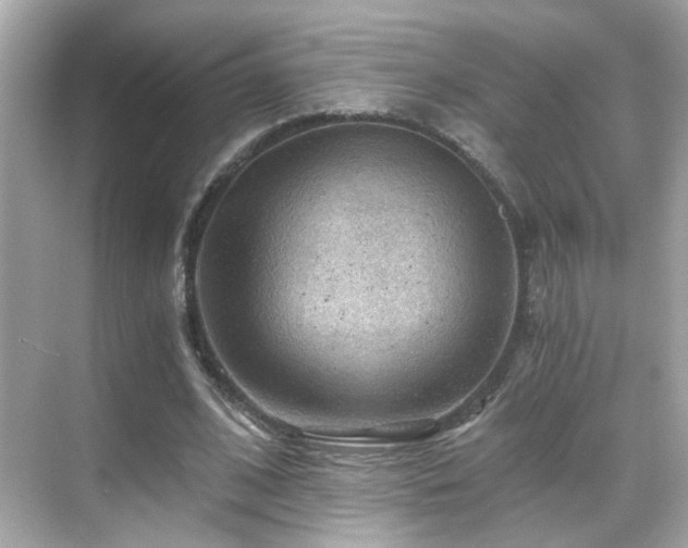 X0000068850584200605051215